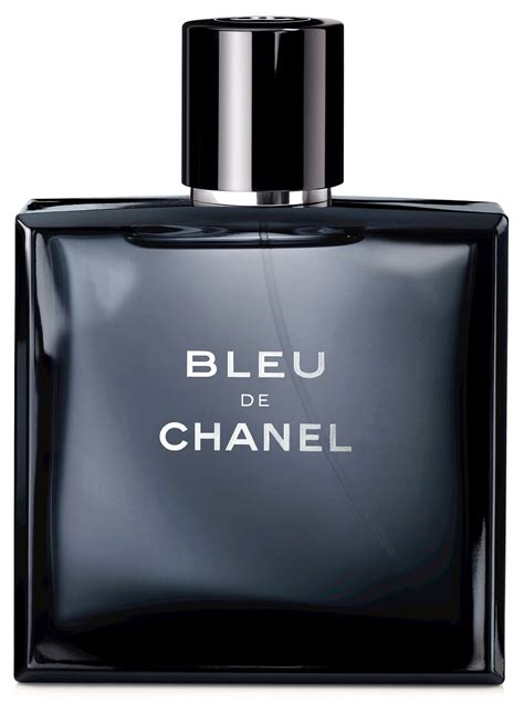 bleu de chanel male|chanel bleu for men price.